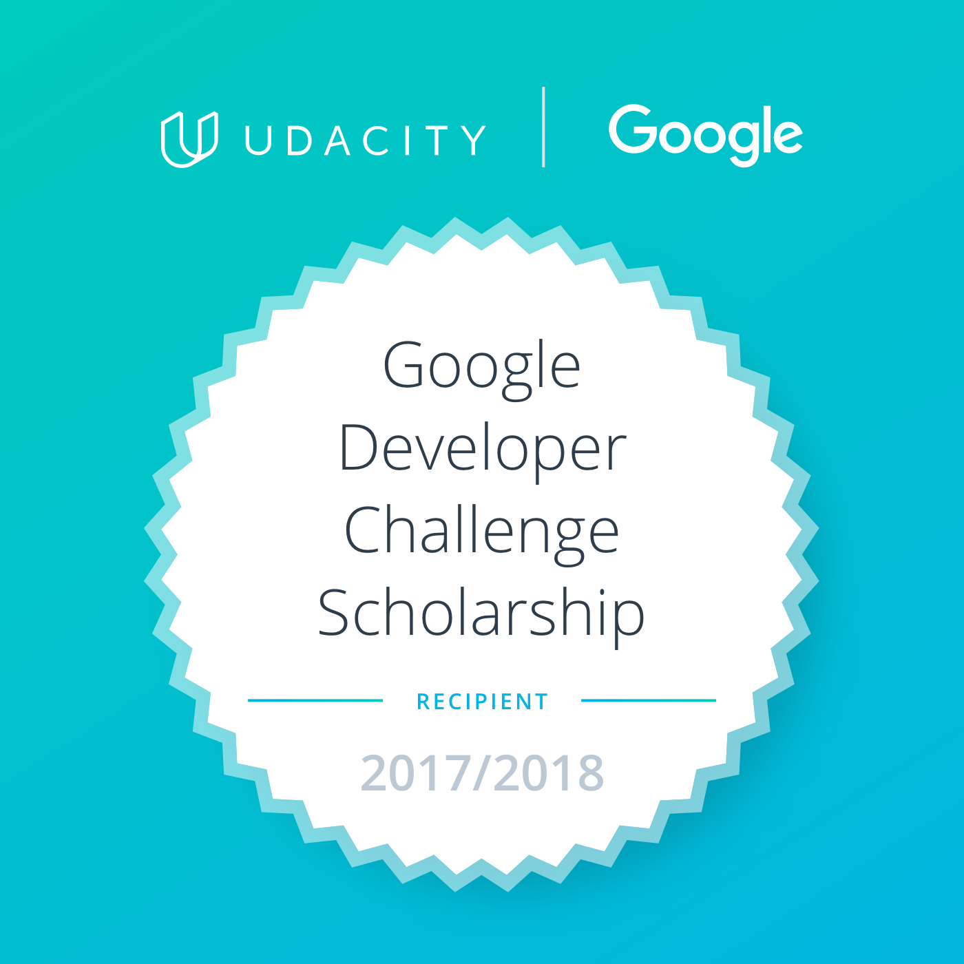 google scholarship